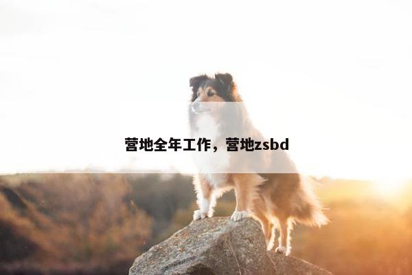 营地全年工作，营地zsbd