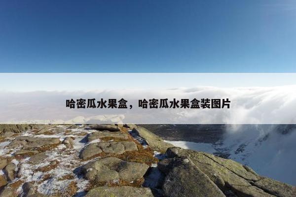 哈密瓜水果盒，哈密瓜水果盒装图片