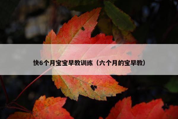 快6个月宝宝早教训练（六个月的宝早教）