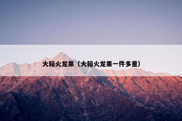 大箱火龙果（大箱火龙果一件多重）