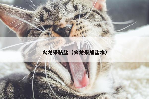 火龙果粘盐（火龙果加盐水）