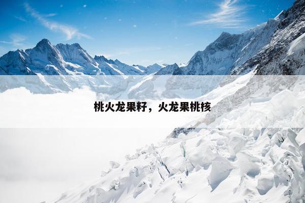 桃火龙果籽，火龙果桃核
