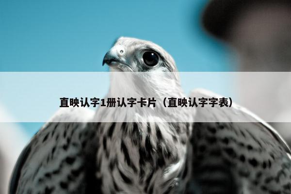 直映认字1册认字卡片（直映认字字表）