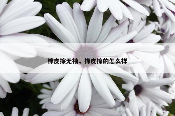 橡皮擦无袖，橡皮擦的怎么样