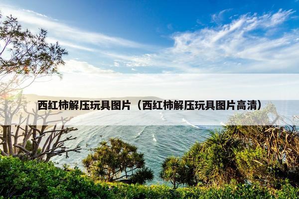 西红柿解压玩具图片（西红柿解压玩具图片高清）