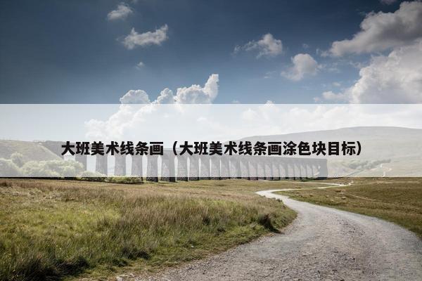 大班美术线条画（大班美术线条画涂色块目标）