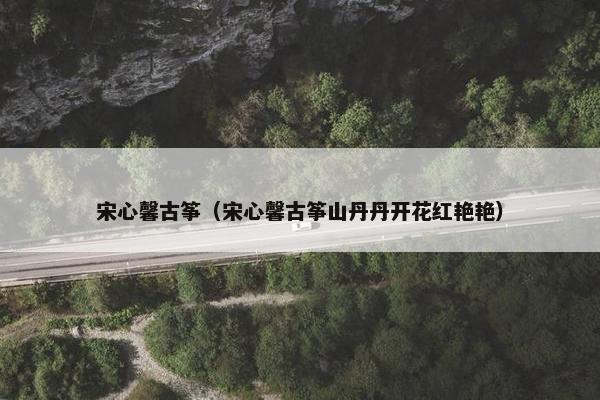 宋心馨古筝（宋心馨古筝山丹丹开花红艳艳）