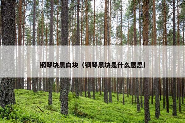 钢琴块黑白块（钢琴黑块是什么意思）