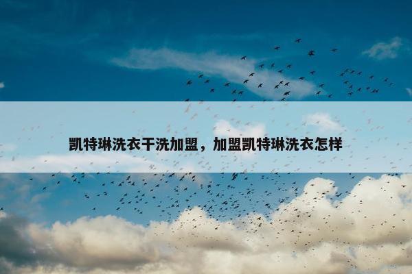 凯特琳洗衣干洗加盟，加盟凯特琳洗衣怎样