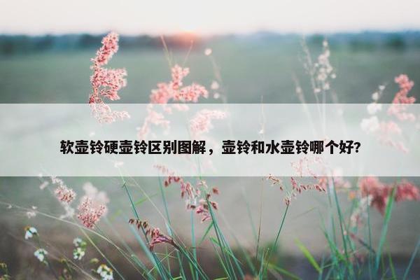 软壶铃硬壶铃区别图解，壶铃和水壶铃哪个好?