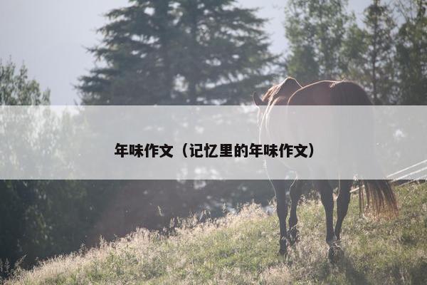 年味作文（记忆里的年味作文）