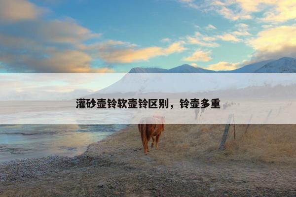 灌砂壶铃软壶铃区别，铃壶多重