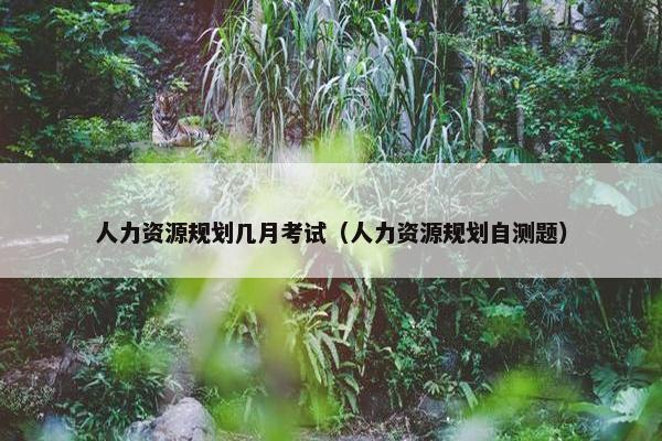 人力资源规划几月考试（人力资源规划自测题）