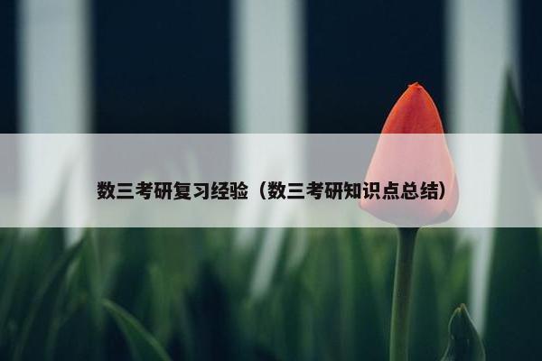 数三考研复习经验（数三考研知识点总结）