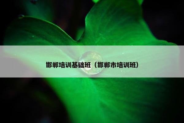 邯郸培训基础班（邯郸市培训班）