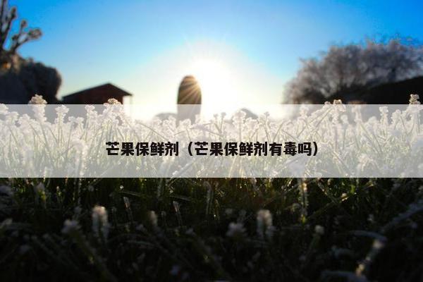 芒果保鲜剂（芒果保鲜剂有毒吗）