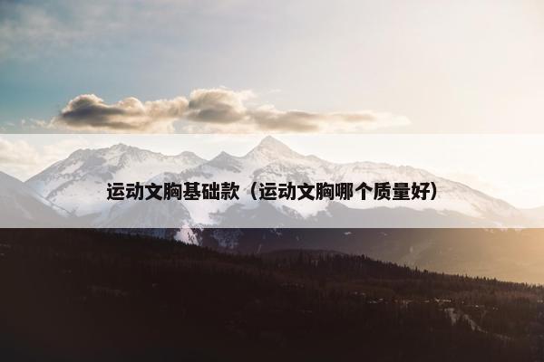 运动文胸基础款（运动文胸哪个质量好）