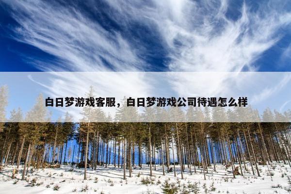 白日梦游戏客服，白日梦游戏公司待遇怎么样