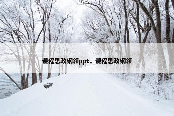 课程思政纲领ppt，课程思政纲领