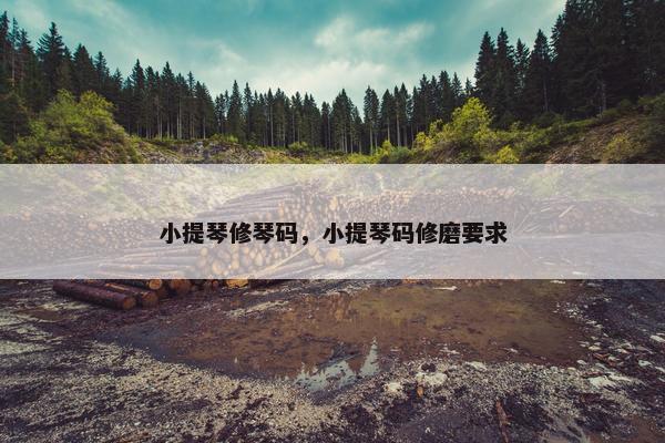 小提琴修琴码，小提琴码修磨要求