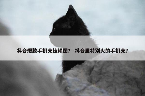 抖音爆款手机壳挂绳图？ 抖音里特别火的手机壳？