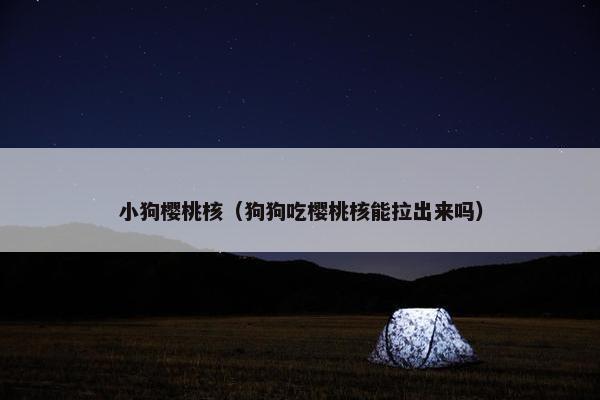 小狗樱桃核（狗狗吃樱桃核能拉出来吗）