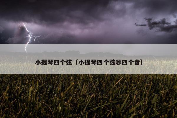 小提琴四个弦（小提琴四个弦哪四个音）