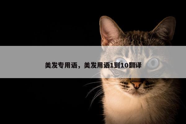 美发专用语，美发用语1到10翻译
