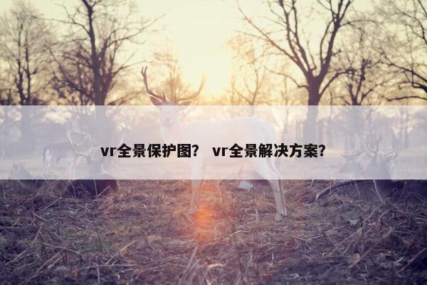 vr全景保护图？ vr全景解决方案？