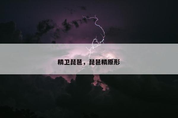 精卫琵琶，琵琶精原形