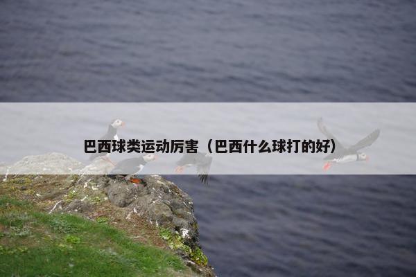 巴西球类运动厉害（巴西什么球打的好）