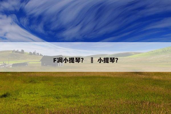 F凋小提琴？ 囍 小提琴？