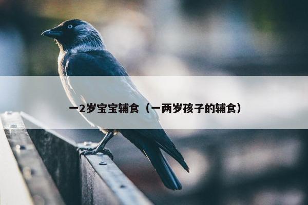 一2岁宝宝辅食（一两岁孩子的辅食）