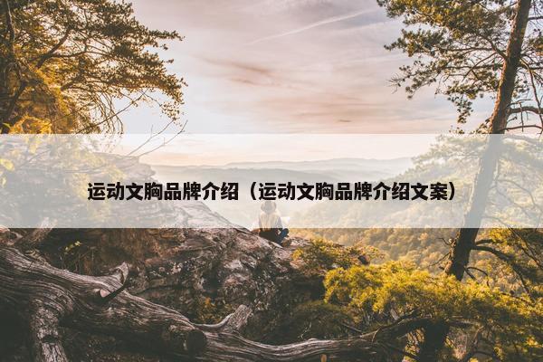 运动文胸品牌介绍（运动文胸品牌介绍文案）