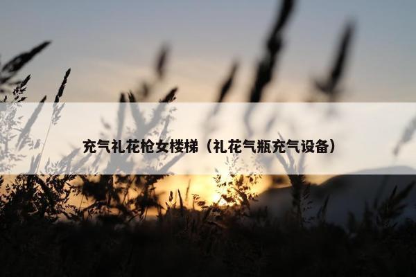 充气礼花枪女楼梯（礼花气瓶充气设备）
