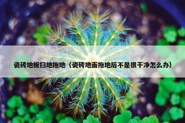 瓷砖地板扫地拖地（瓷砖地面拖地后不是很干净怎么办）