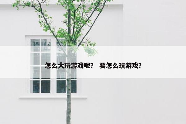 怎么大玩游戏呢？ 要怎么玩游戏？
