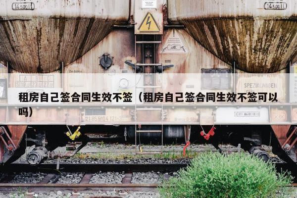 租房自己签合同生效不签（租房自己签合同生效不签可以吗）