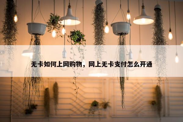 无卡如何上网购物，网上无卡支付怎么开通