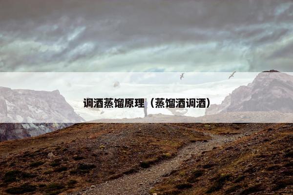 调酒蒸馏原理（蒸馏酒调酒）