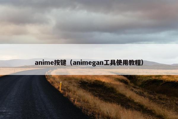 anime按键（animegan工具使用教程）