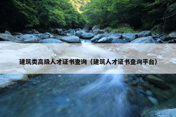 建筑类高级人才证书查询（建筑人才证书查询平台）