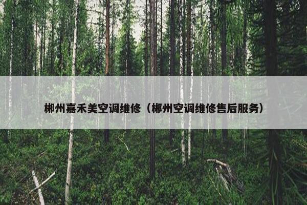 郴州嘉禾美空调维修（郴州空调维修售后服务）
