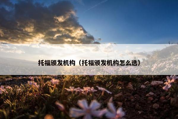 托福颁发机构（托福颁发机构怎么选）