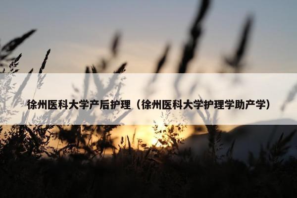 徐州医科大学产后护理（徐州医科大学护理学助产学）