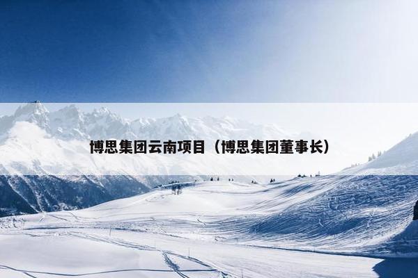 博思集团云南项目（博思集团董事长）