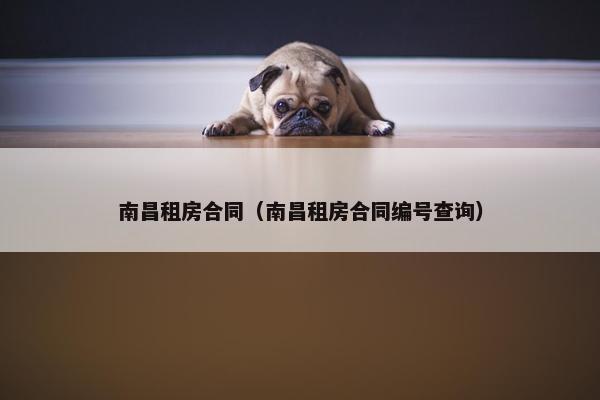 南昌租房合同（南昌租房合同编号查询）