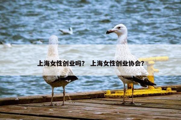 上海女性创业吗？ 上海女性创业协会？