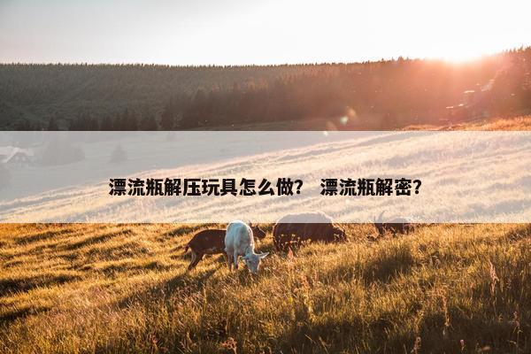漂流瓶解压玩具怎么做？ 漂流瓶解密？