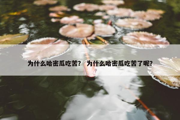 为什么哈密瓜吃苦？ 为什么哈密瓜吃苦了呢？